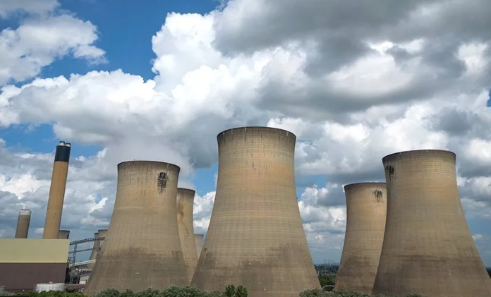 UK Power Station Still Burning Rare Forest Wood Raises Environmental Concerns